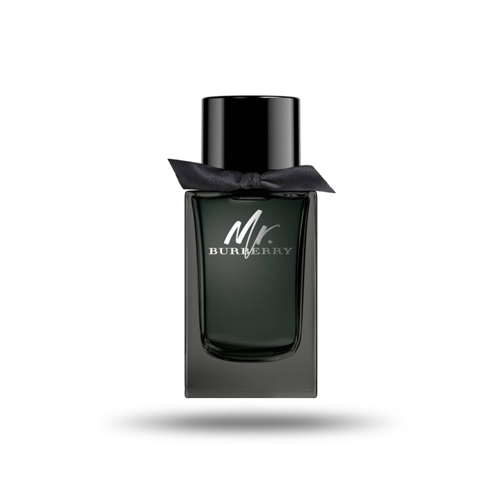 Burberry Mr. Burberry - Eau de Parfum for Men 100ml
