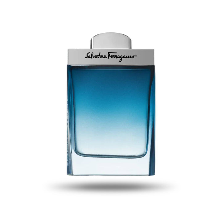 Salvatore Ferragamo Subtil Pour Homme - Eau de Toilette for Men 100ml